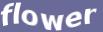 Enter the word