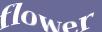 Enter the word