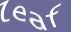 Enter the word