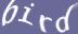 Enter the word