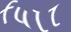 Enter the word