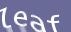 Enter the word
