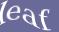Enter the word