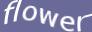 Enter the word