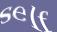 Enter the word