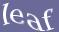 Enter the word