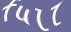 Enter the word
