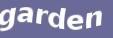 Enter the word