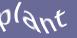 Enter the word