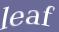 Enter the word