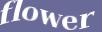 Enter the word