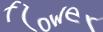 Enter the word