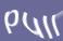 Enter the word
