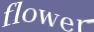 Enter the word